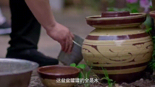 543fe0df53fbb5d4b90c901c2c8f595d.gif